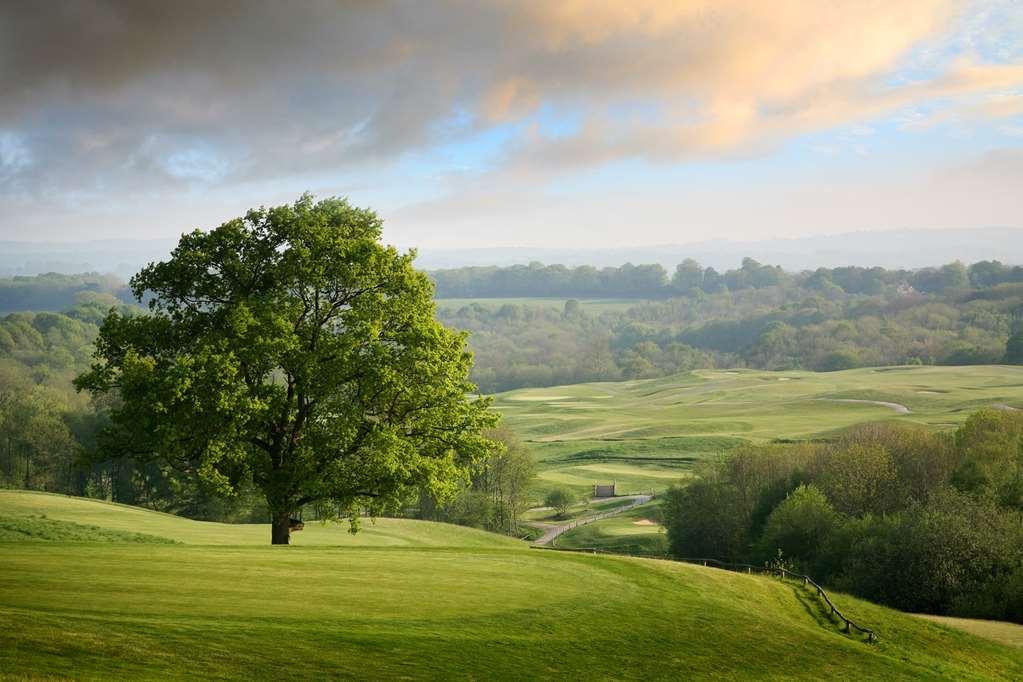 Hotel Dale Hill 4*